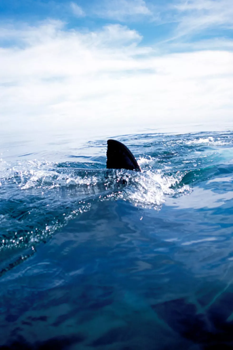 Six-Year-Old Texas Kid Hooks 10-Foot Great White Shark