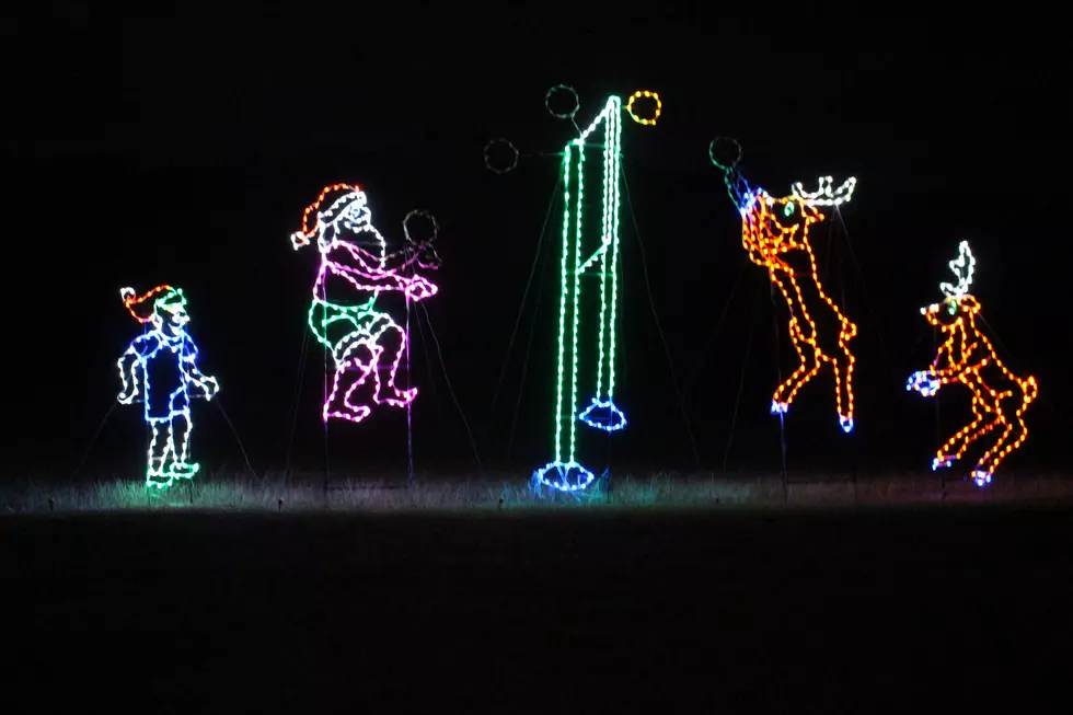 Nature in Lights Returns to BLORA Friday, November 13