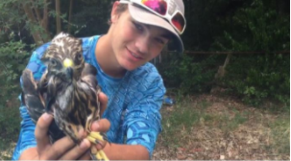 Lacy Lakeview Teen Rescues Hawk From Swimming Pool [Video]