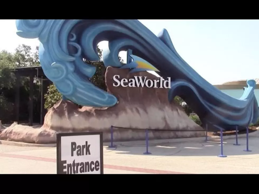 Kids 5 and Under Can Get Free Admission at SeaWorld San Antonio