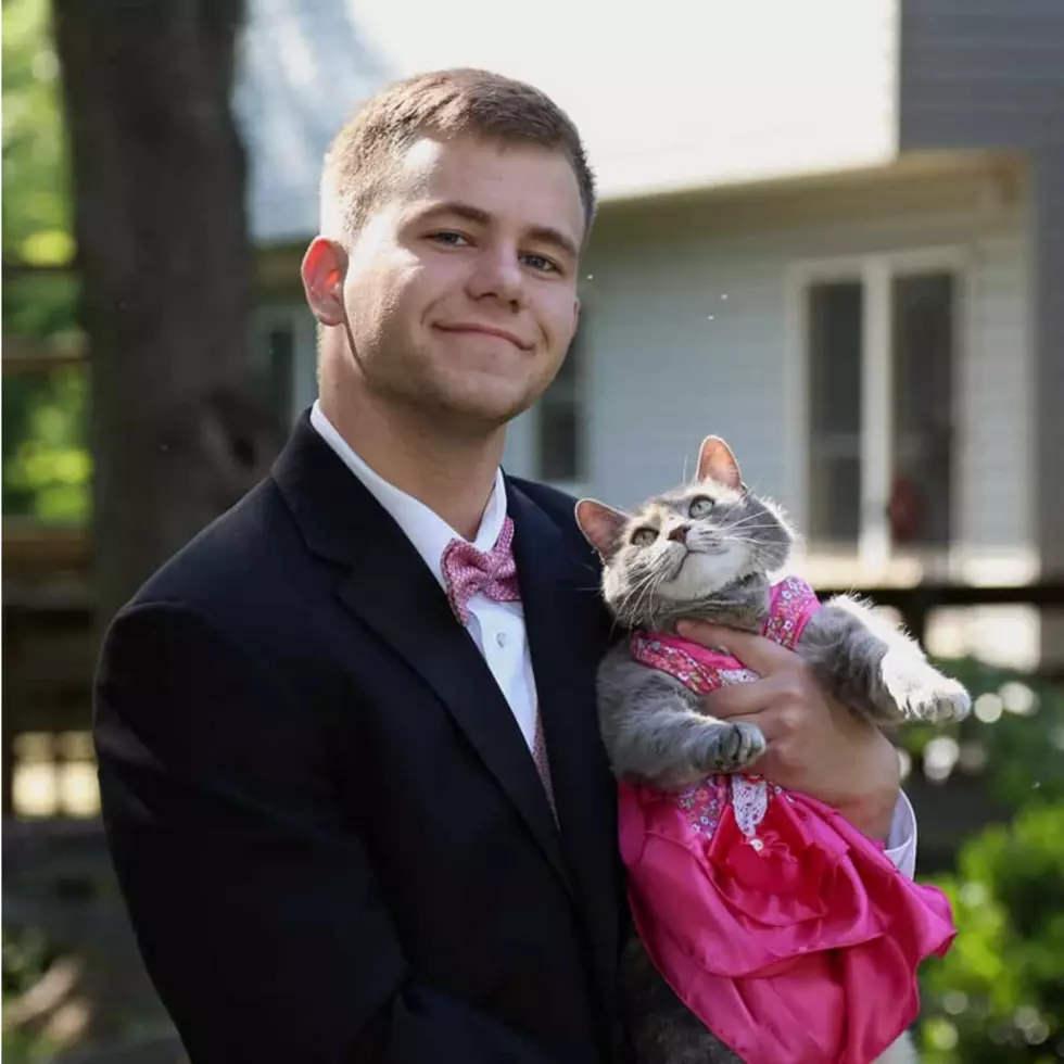 Can’t Find A Date To Prom? Just Take Your Cat!