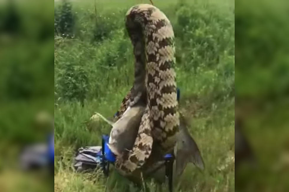 Houston Fisherman Catches Fish with Snake Latched On