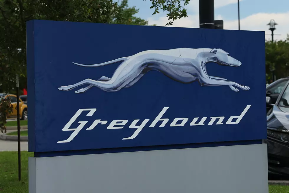 Greyhound Offers Free Bus Tickets to Runaway Children