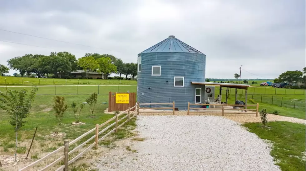 This Rental in Central Texas is on a Llama Farm [VIDEO]