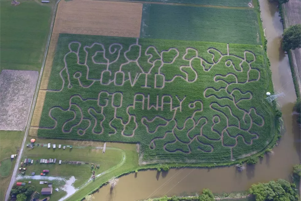 Corn Maze in Michigan Designed to Say “COVID Go Away”