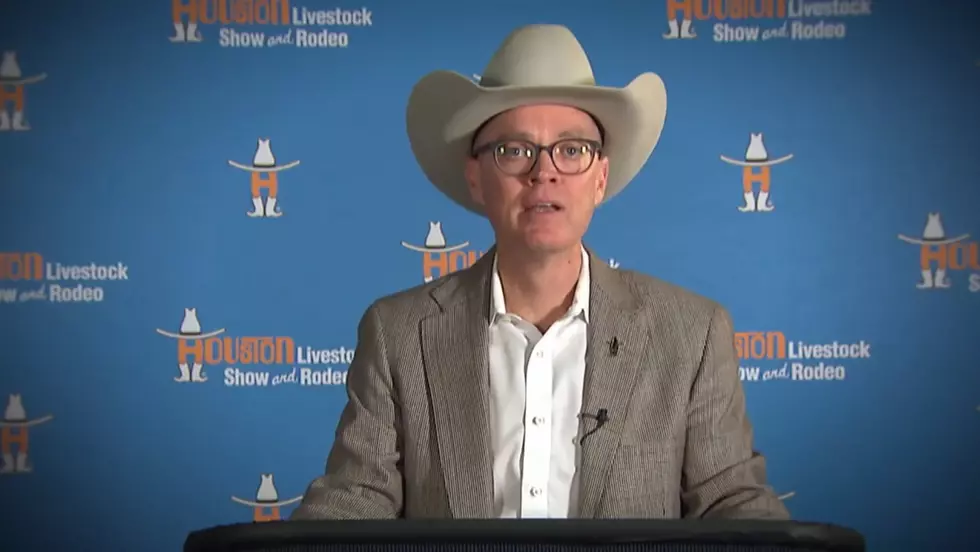 2021 Houston Livestock Show and Rodeo Cancelled