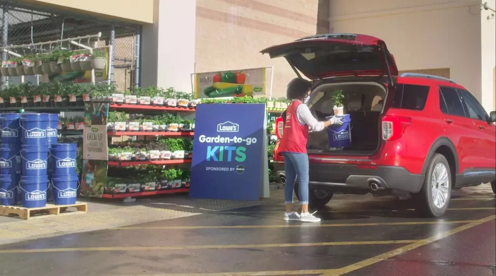 Texans Can Grab A Free Garden To-Go Kit from Lowe’s