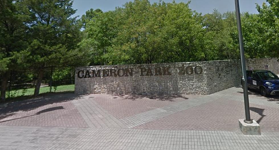 Cameron Park Zoo Offers Free Admission for Veterans and Active Duty Military