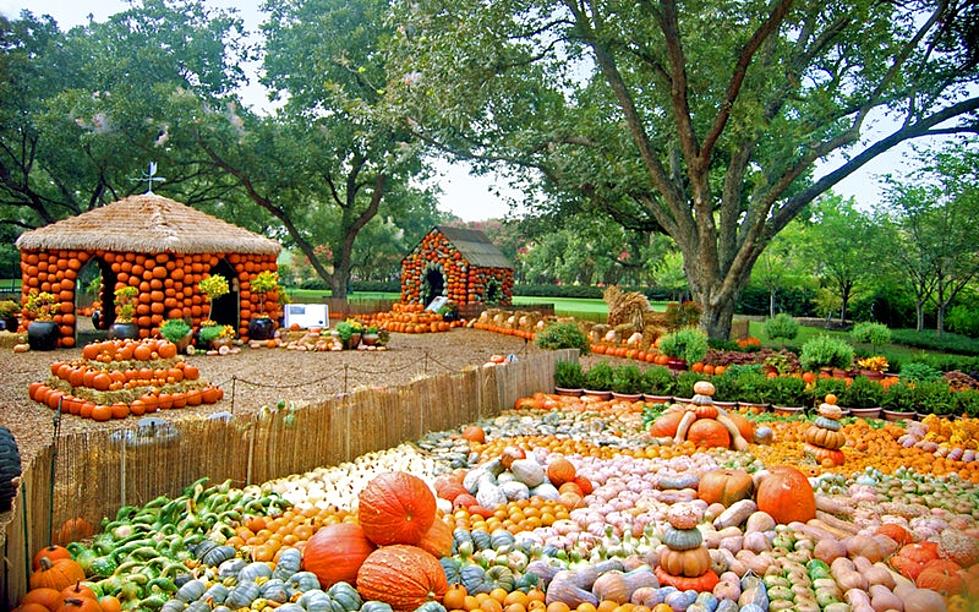 Festive Fall Fun: Autumn At The Arboretum Is Finally Back