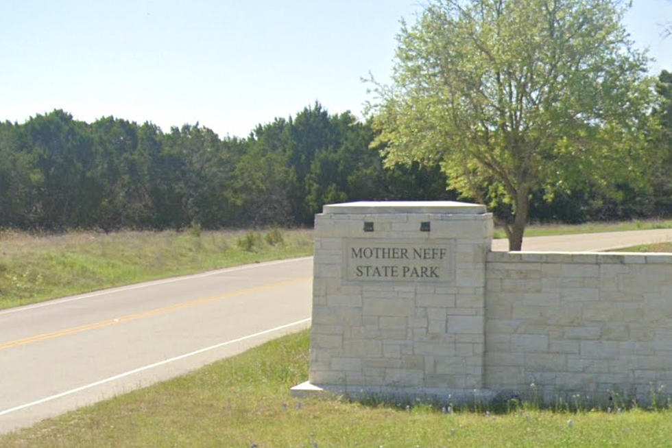 Texans Can Enjoy a State Park for Free as Veterans Day Thank You