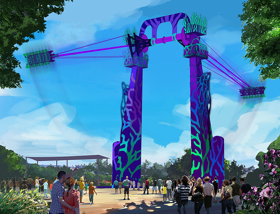 The World’s Tallest and Fastest Screaming Swing Ride Is Coming to Texas