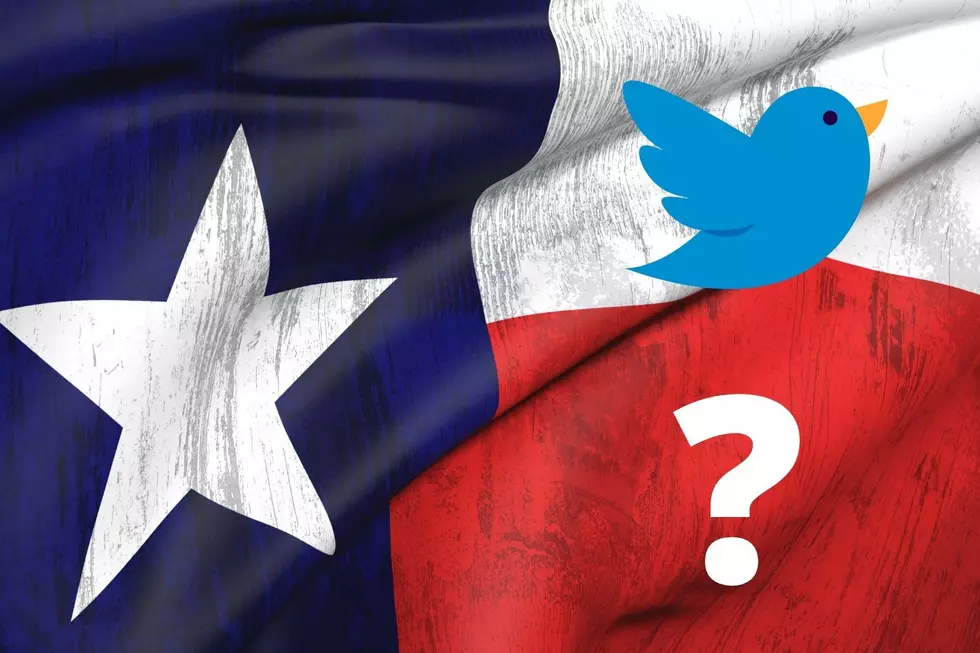 Tweet Tweet! Is It Possible That Elon Musk Could Move Twitter to Texas?