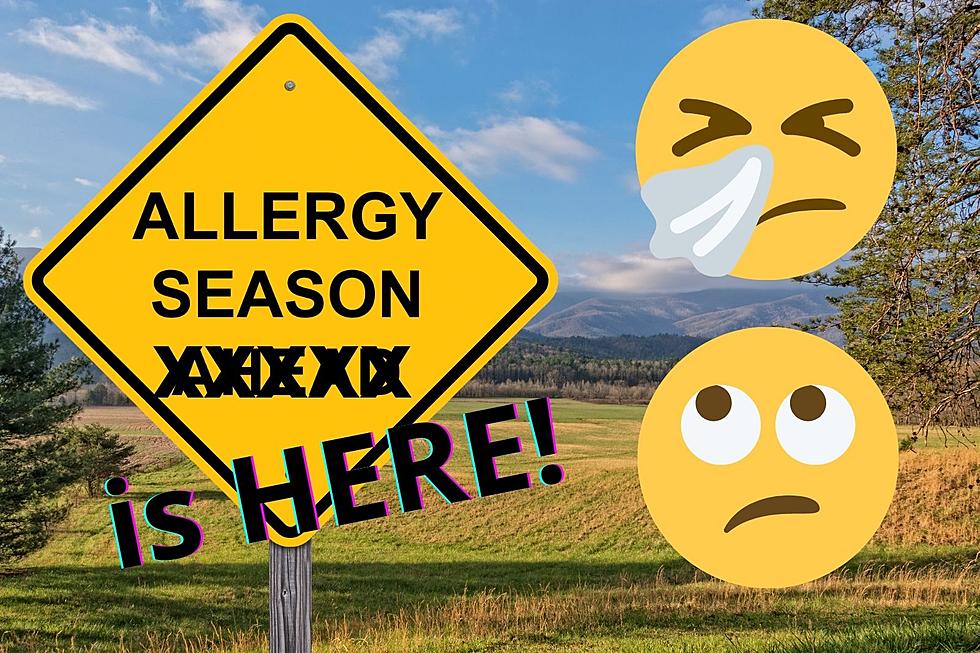 Enough of the Sneezing Already! When Does Texas Allergy Season End?