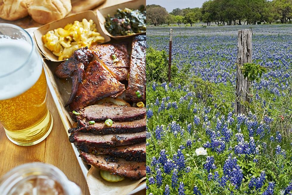 The Top 5 Reasons You Should Move To Texas