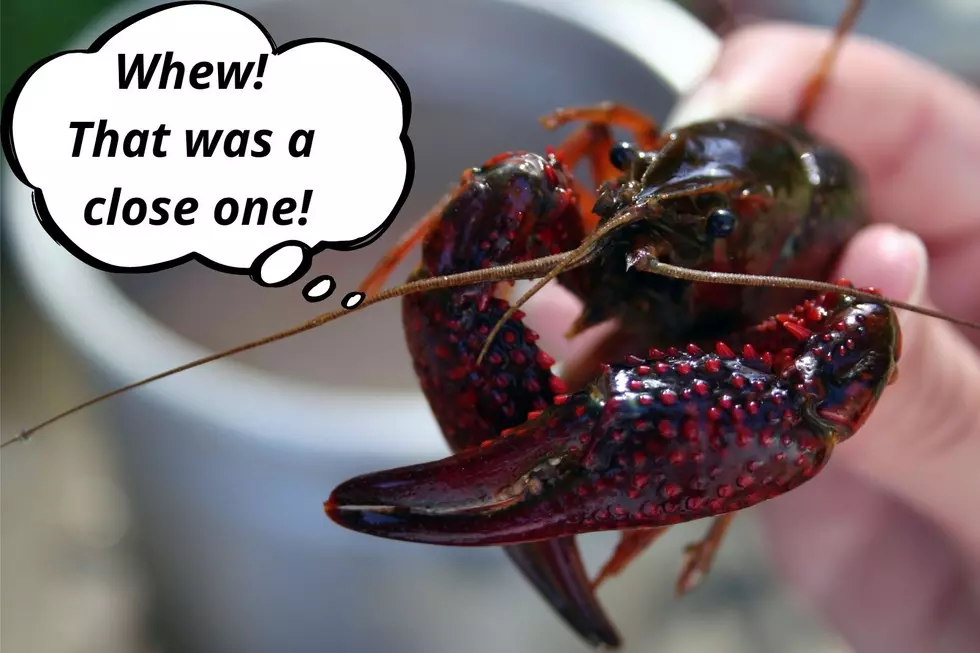 Texas Crawfish Lover Saved a Life at H-E-B, Goes Viral on TikTok