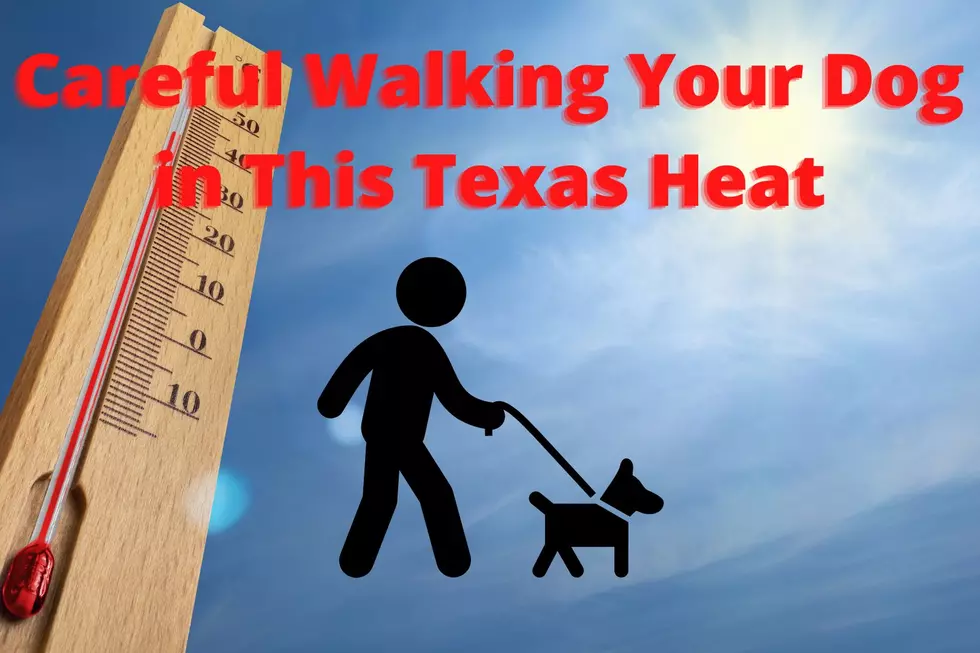 Texas Heat! If It’s Hot to You, It’s Even Hotter for Your Dog
