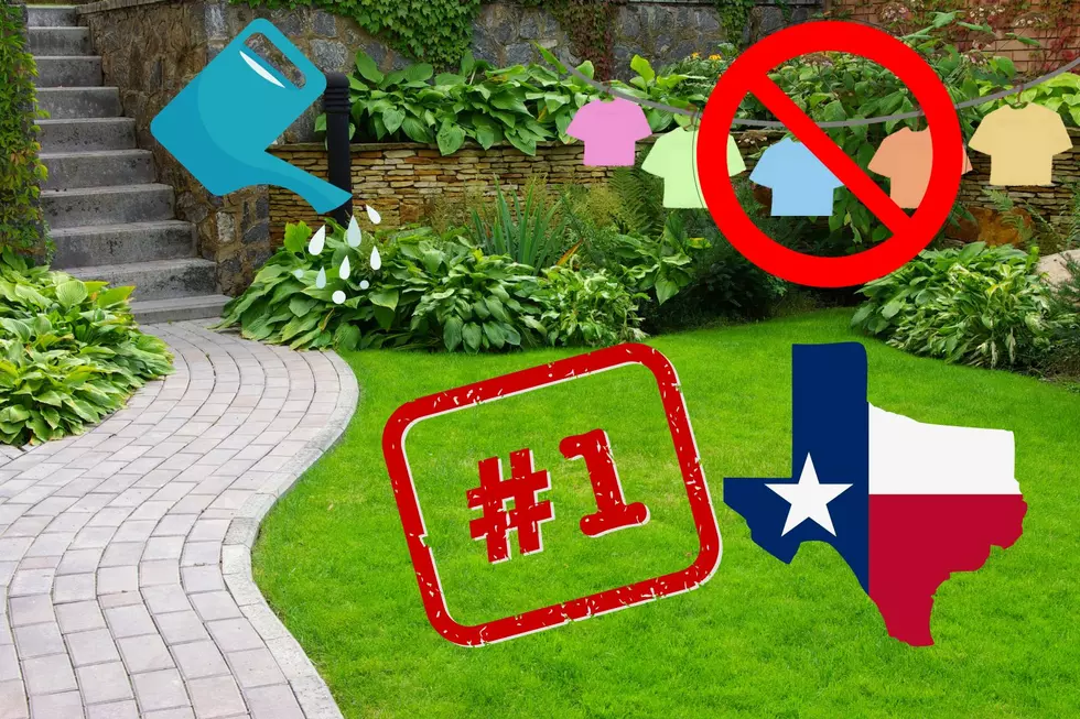 Clothing Optional: This Texas City Is #1 in America for Naked Gardening