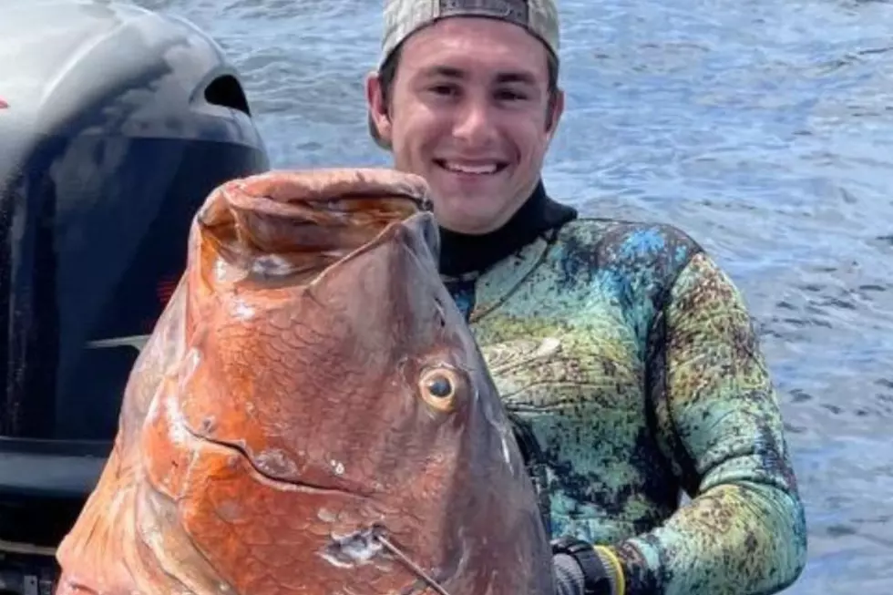 New World Record? Texas Spearfisherman Catches Massive Snapper at Port A