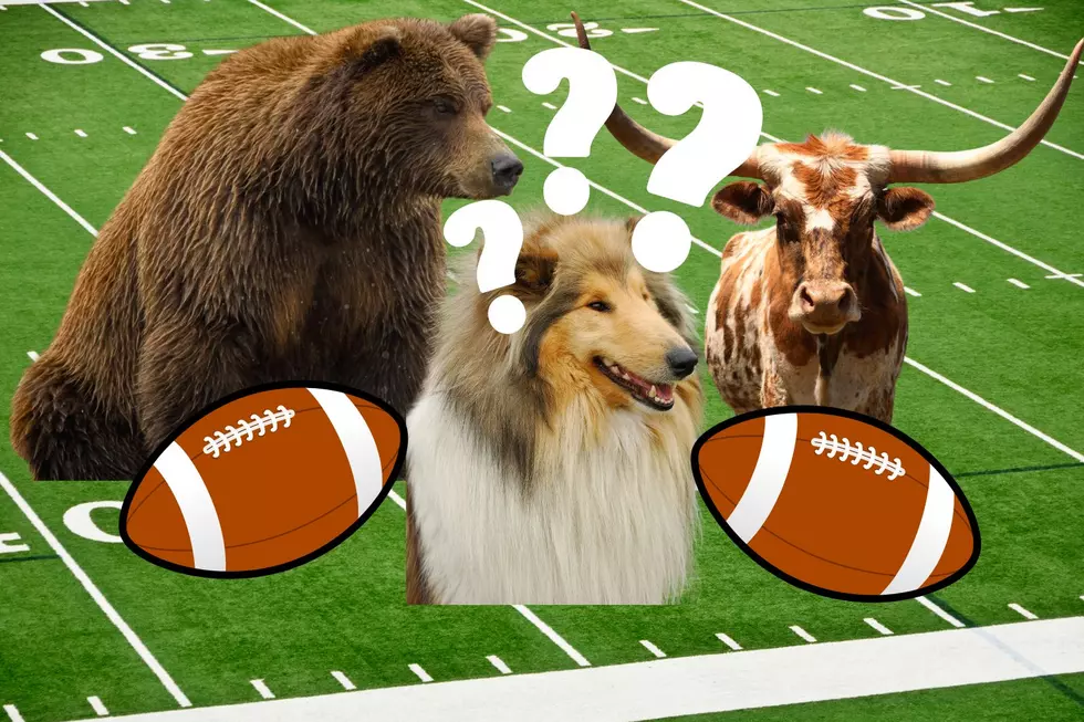 Texas Has One of Nation’s Top College Football Mascots: Which Is Best?