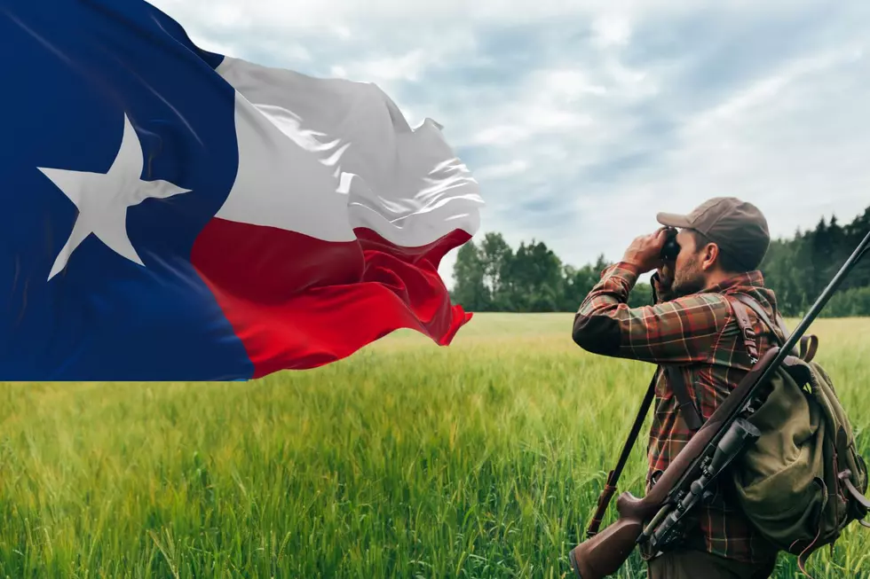 Ready To Hunt In Texas? Hunting and Fishing Licenses Now Available