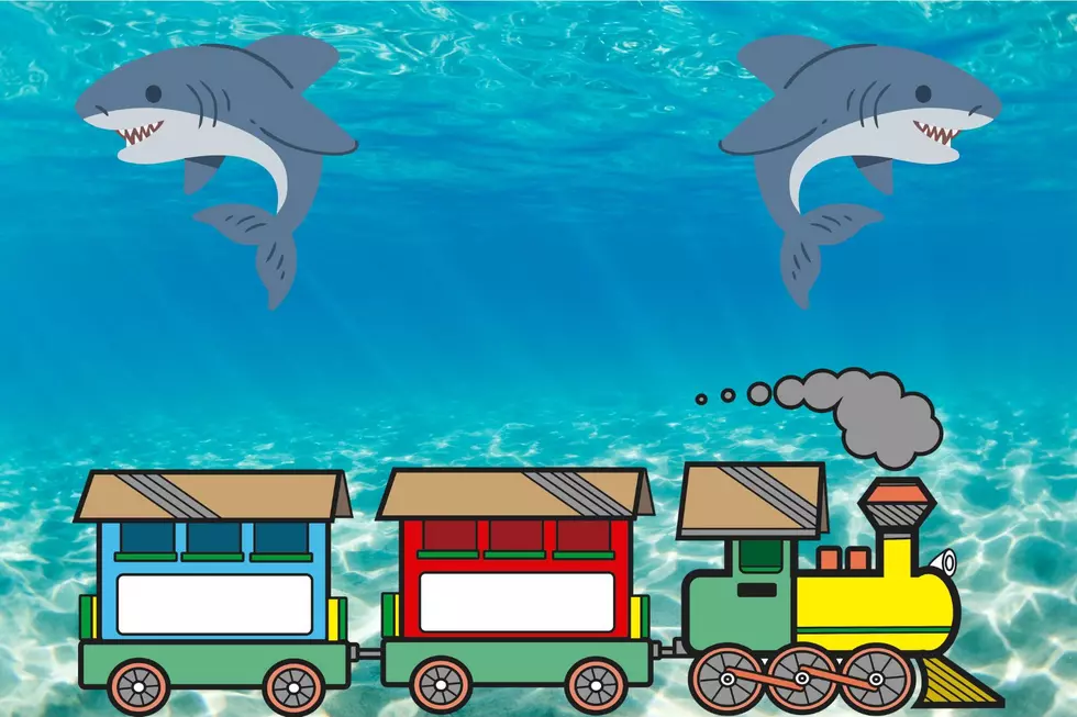 One Train In Houston, Texas Lets You See Sharks Without Being Underwater