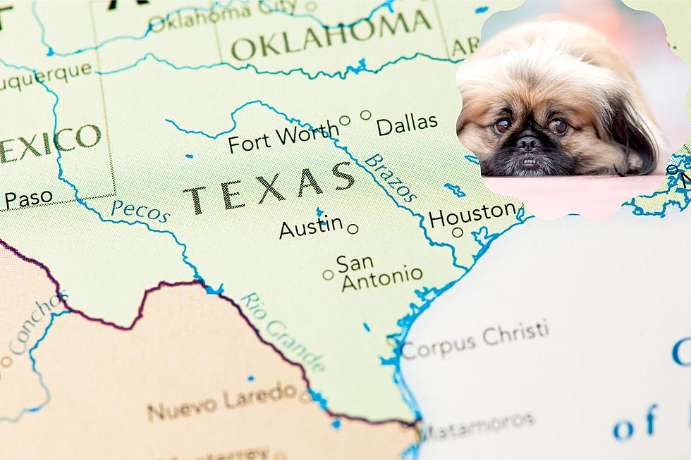 This Texas City Has Been Named The Saddest In America