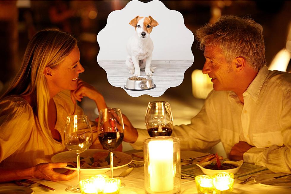 Dating In Texas Could Be Getting A Lot More &#8216;Ruff&#8217;