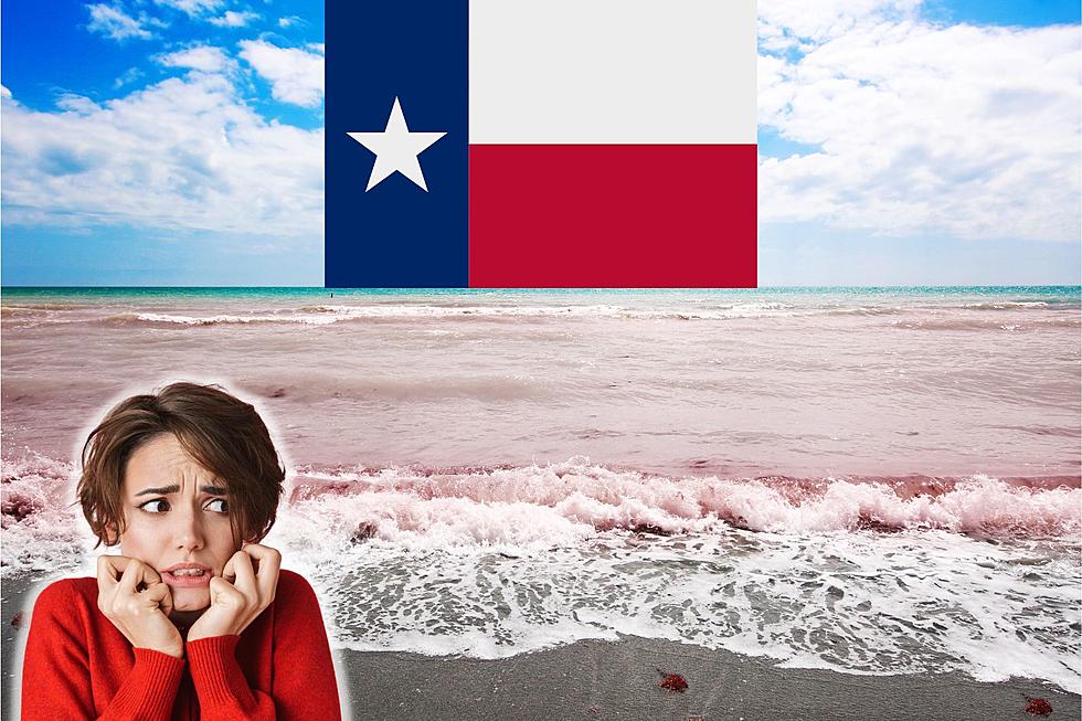 BEWARE: Texas Beaches Will Have Red Tide Blooms In Them This Weekend