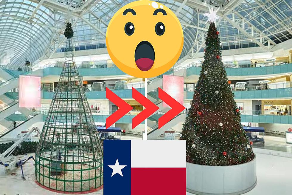 VIDEO: Ever Seen The Dallas, Texas Galleria Christmas Tree Built?