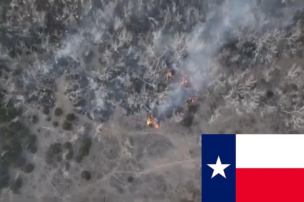 Company Admits Fault In Helping Start Largest Texas Panhandle Fire