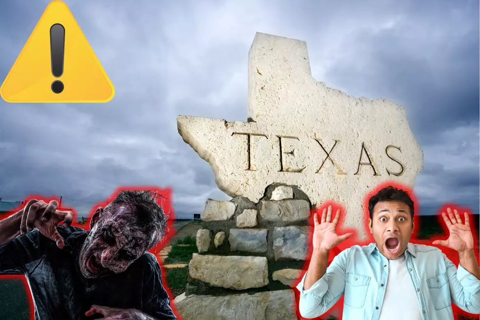 Is Texas A Safe State To Be In If Zombies Were To Attack?