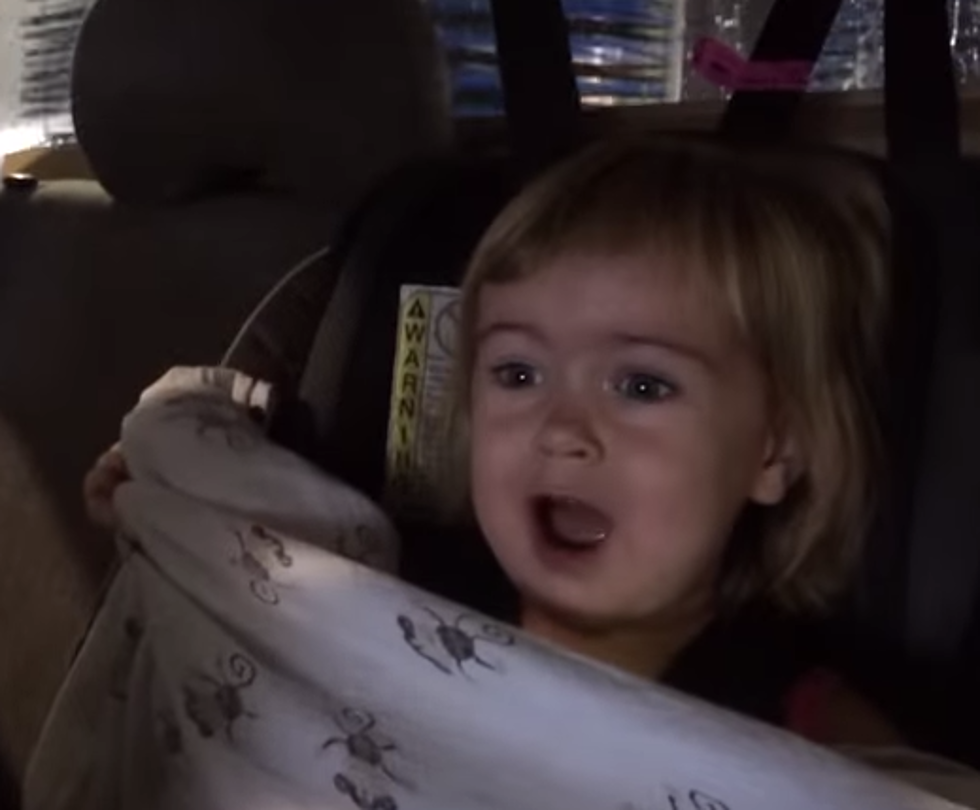 Two Year Old’s Reaction To a Car Wash Seems Far From Adorable