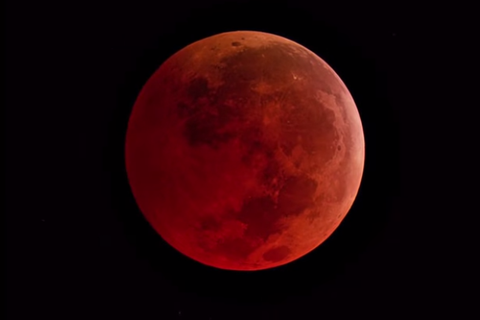 Check out the Blood Moon Wednesday Morning
