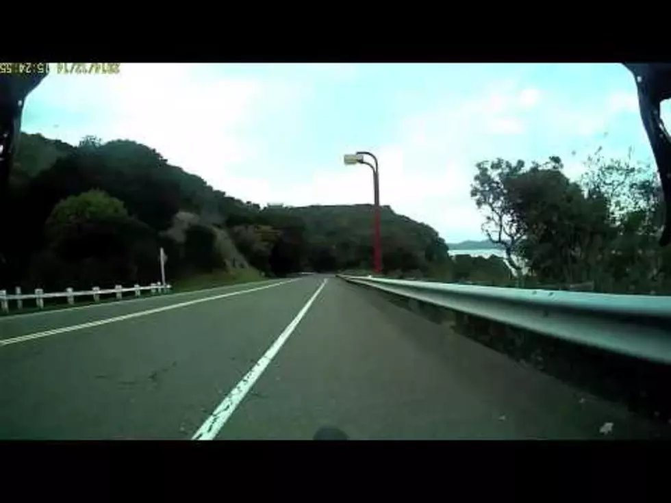 Guy Hits Deer While Riding Bike Down Hill