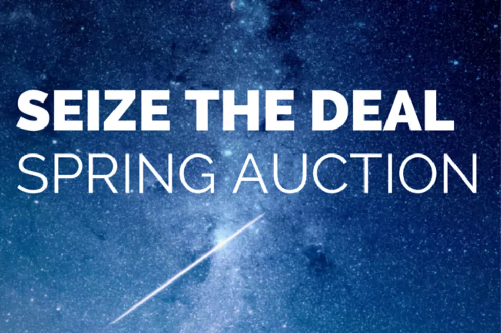 Seize the Deal Spring Auction Starts Monday