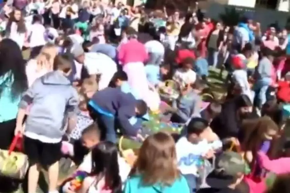 Half a Million Easter Eggs Lead to a Chaotic Hunt