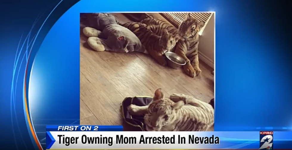 Texas Woman Arrested For Tigers and Other Wildlife at Home