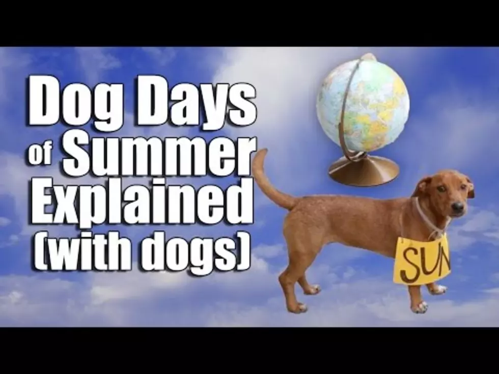 The Dog Days Are Coming This Weekend on KROCK
