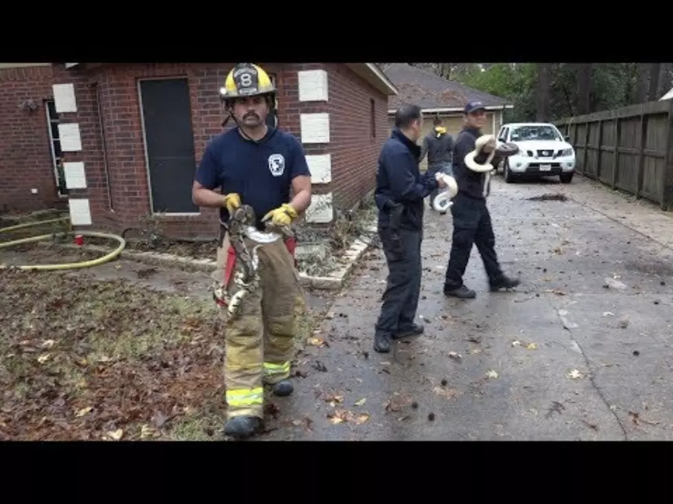 Texas&#8217;s Caney Creek Fire &#038; Rescue Goes Snakes on the Fire Truck