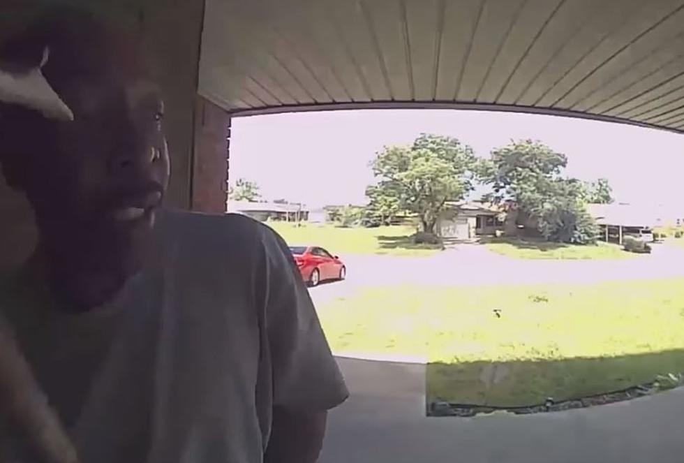 Doorbell Camera Captures Snake Attacking Visitor