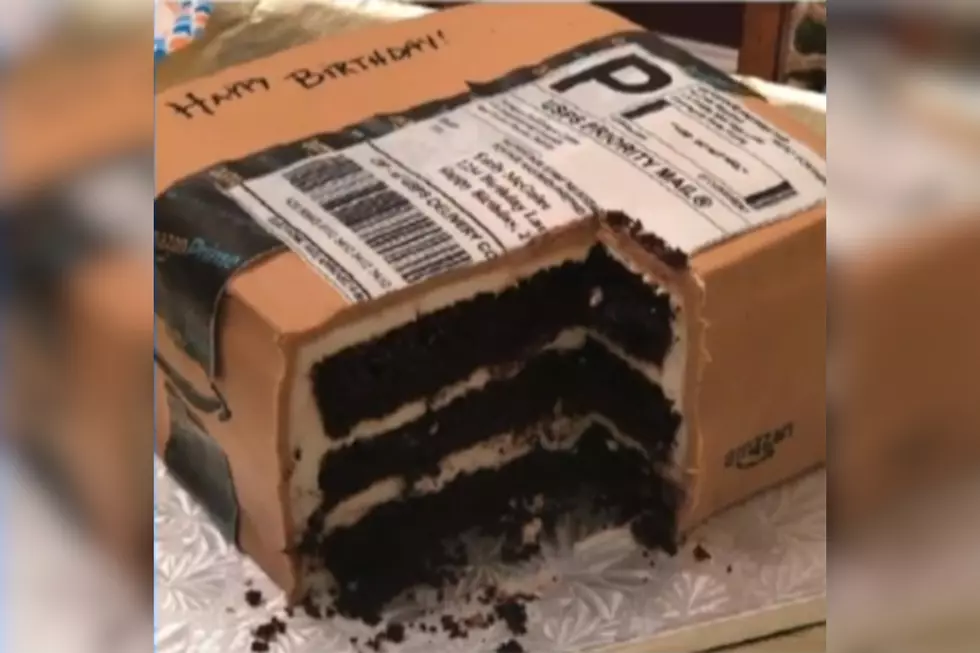 Man Buys An Amazon Box His Cat and Wife Will Love