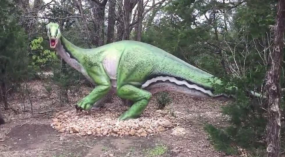 Go Back in Time at the Dinosaur Park in Bastrop