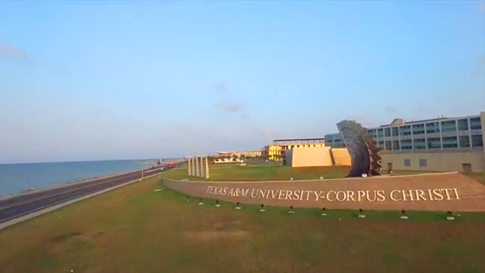 Texas A&M Corpus Christi Ranked Best College by the Sea