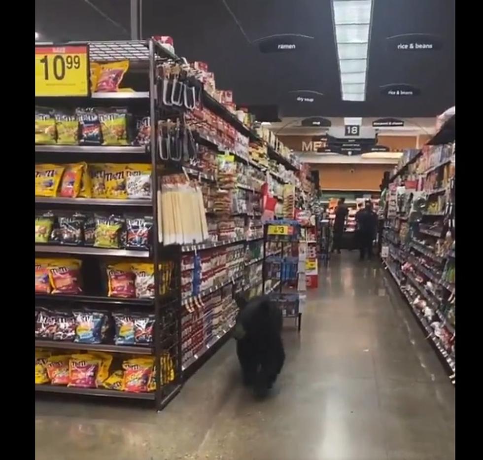 (Video) Oso &#8216;va de compras&#8217; a supermercado en Los Ángeles