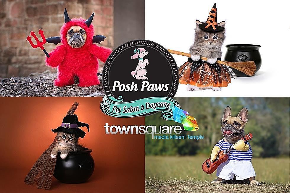El gran concurso de disfraces para mascotas de Halloween del centro de Texas está en marcha