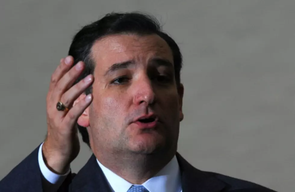 Sen. Ted Cruz: GOP Needs to Stand on Principle
