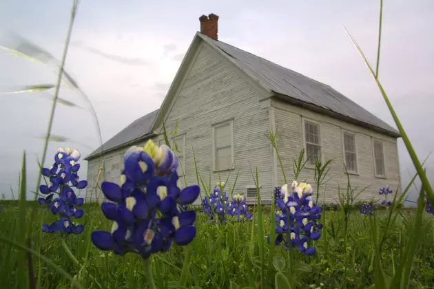 The Bluebonnet Became the State Flower of Texas 117 Years Ago Today