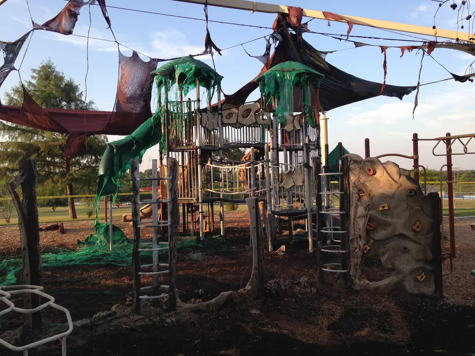 Two Boys Who Intentionally Set James Wilson Park Fire Referred to Juvenile Probation