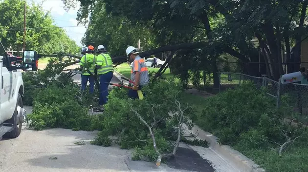 Fallen Branch Pins Woman to Pavement in Killeen