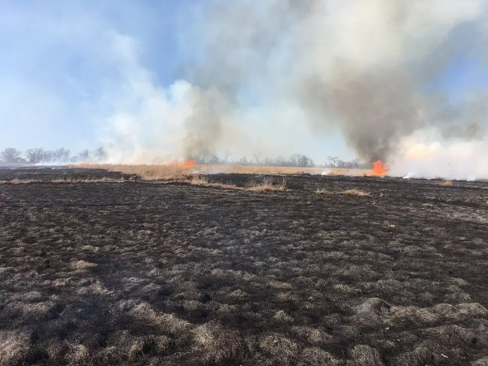 Grass Fire in Temple